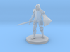Conquest Paladin 3d printed 