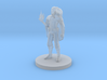 Elven Male Sorcerer with Hawk 3d printed 