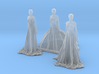 S Scale Long Dress Females 3d printed 