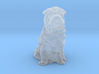 S Scale Shar Pei 3d printed 