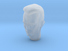 1/12 Terminator T1000 Head Sculpt for Figures 3d printed 