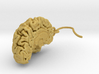 High detail brain earrings from MRI scan 3d printed 