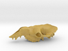 big dromedary skull 3d printed 