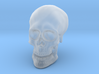 Solid Skull  3d printed 