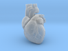 Heart Anatomical 90mm (scale is 1:1) 3d printed 