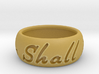 This Too Shall Pass ring size 9.5 3d printed 