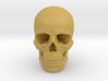 33mm 1.3in Human Skull (23mm/.9in wide) 3d printed 