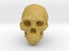 Real Skull : Homo erectus (Scale 1/1) 3d printed 