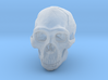 Real Skull : Homo erectus (Scale 1/2) 3d printed 