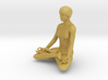 Lotus Position (small) 3d printed 