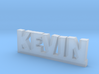 KEVIN Lucky 3d printed 