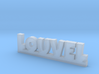 LOUVEL Lucky 3d printed 