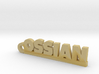 OSSIAN Keychain Lucky 3d printed 