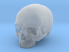 SKULL 23mm / 0.9in 3d printed 