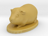 Small Guinea Pig Honey 3d printed 