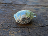 turtleShellBell 3d printed turtle shell bell - silver interlocking parts 