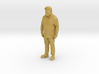 Printle E Homme 360 S - 1/87   3d printed 