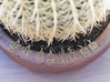 Cactus Ball Earrings 3d printed 