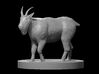 Mountain Goat 3d printed 