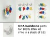DNA backbone piece at 100% scale (bundle of 16) 3d printed 