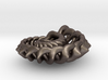 Spikelink from the Ammonite range by unellenu 3d printed 
