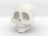 cartoon skull 3d printed 