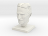Nikola Tesla Bust 3d printed 