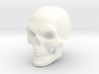 3D Printed Skull - Small 3d printed 