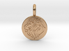 Silver Polished Round Solid Silver Lion Necklace  3d printed 
