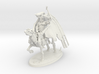 Undead Pegasus Rider 3d printed 