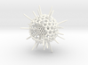 Spiky Spumellaria Sculpture - Science Gift 3d printed 