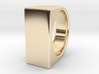 Signe Unique V - US 9.5  - Signet Ring 3d printed 