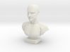 Bust of a Man 3d printed 