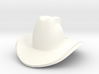 cowboy hat 3d printed 