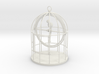 Bird Cage Gimbal 3d printed 