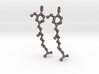 Earrings (Pair)- Molecule- Capsaicin 3d printed 