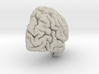 Right Brain Hemisphere 1/1 3d printed 