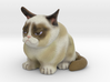 Grumpy Cat V2 3d printed 