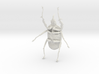Goliath Beetle solid filigree - 10cm 3d printed 