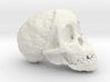 RadioLab Taung Child Skull Via Shootdigital 2014.0 3d printed 