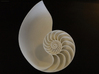 Nautilus Seashell 3d printed 