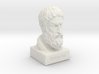 Epicurus Bust 12 inches 3d printed 