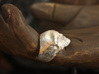 Yorick Memento Mori Skull Ring 3d printed memento mori skull ring in raw silver 
