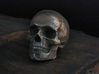 Yorick Full Skull with Latin Inscription 3d printed 