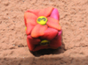 Flower D6 (Small) 3d printed 