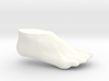 Women's Right Foot - Size 6.5-7 3d printed 