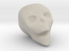 Skull Mini 3d printed 