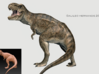Dinosaur T Rex Roaring 10 cm long  3d printed 