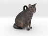 Custom Cat Ornament - Chessie 3d printed 