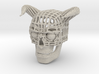 Skull of Devil 3d printed 